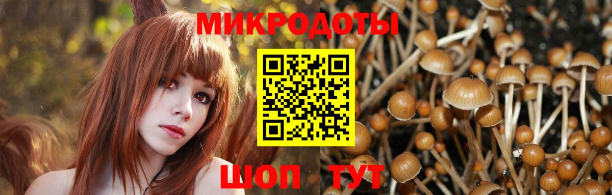 Ржев  Галлюциногенные грибы Cubensis  Вход с VPN 