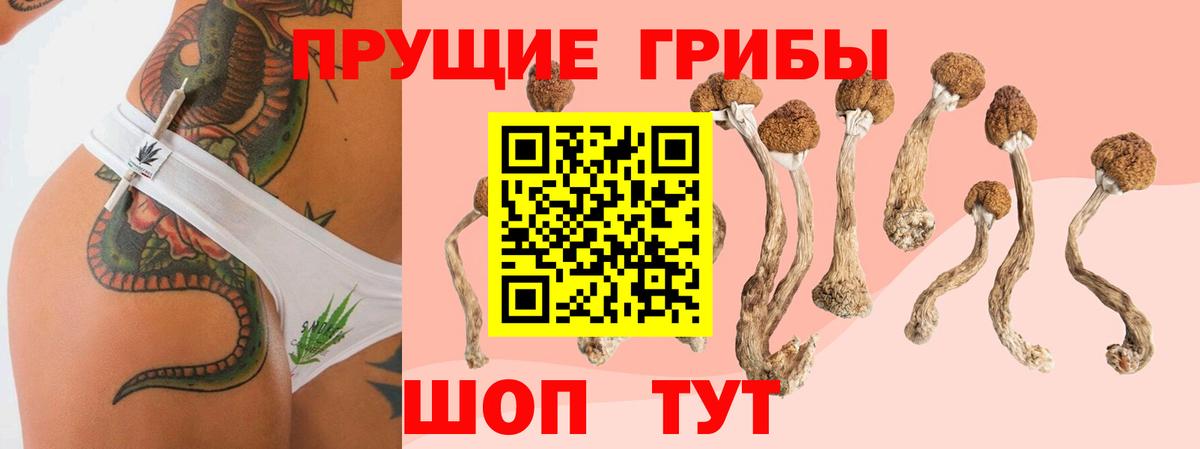 Галлюциногенные грибы Cubensis Ржев
